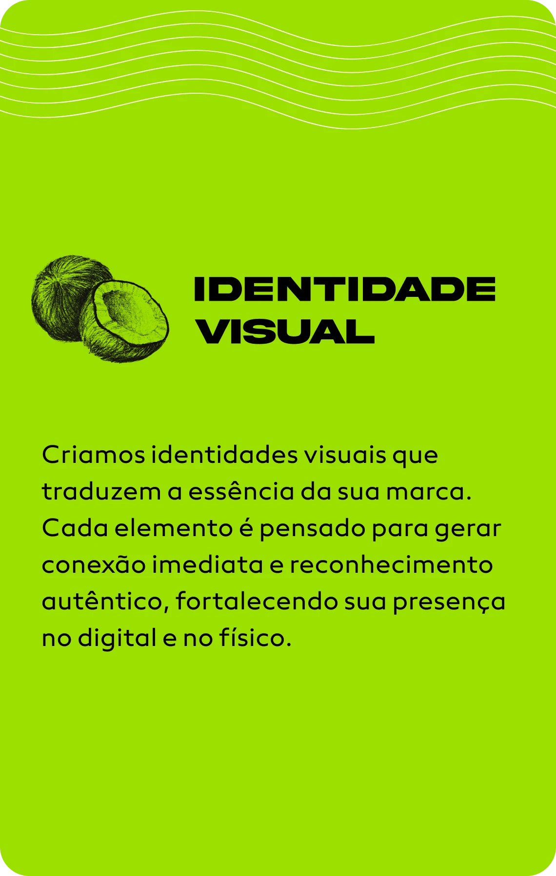 identidade_visual (1)